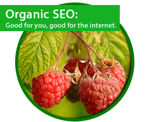 what is organic search engine marketing